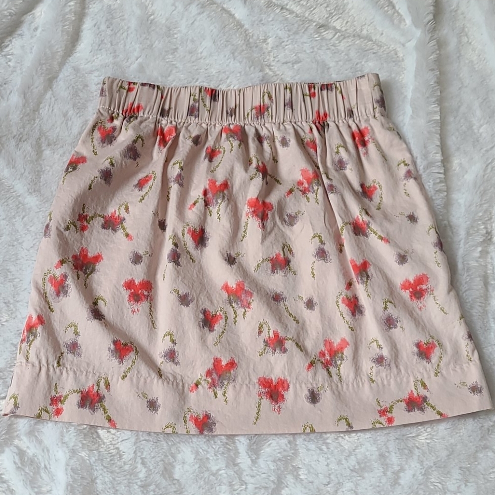 J.crew Skirt